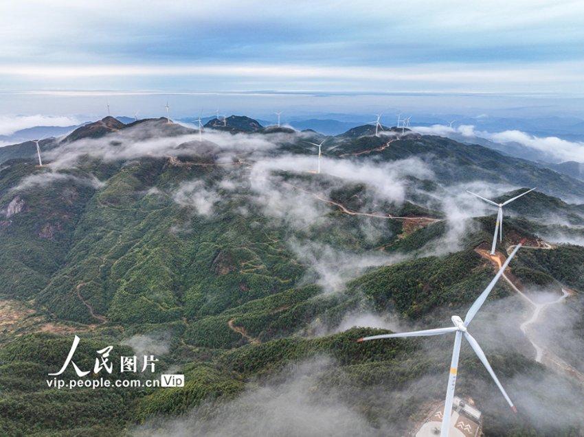 探索天涯问答交流平台网络信号差怎么办